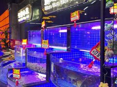 -亿牌牌东北烧烤(博物馆旗舰店)