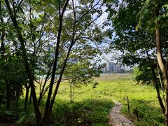 -华侨城湿地公园