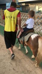 -萌宠亲子动物乐园(槐房万达店)