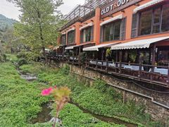 -Local泰莲庭(虹鳟鱼店)