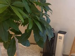 -泰合玺·精油疗愈 SPA(南京河西万达店)