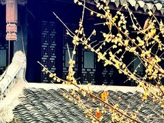 -阳明祠