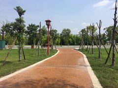 -眉山湿地公园(东坡区)
