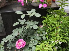 -老鼎万春卤菜(五代传承创始老店)