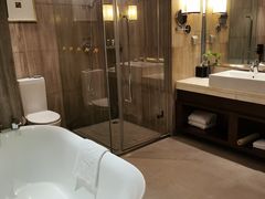 -常州环球恐龙城维景国际大酒店