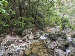 -牛背梁国家森林公园