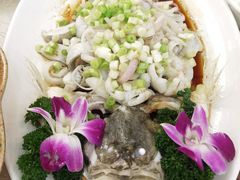 葱油起片浸桂花-轩记海鲜餐厅·四十五年老字号·经典粤菜(西区彩虹店)