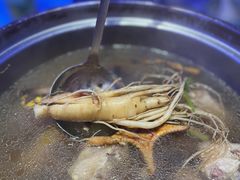 -千岛蚝高压锅生蚝·人参火锅(白云万达店)