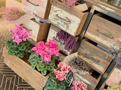 -FLOVIE FLORIST CAFE