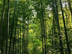 -南山风景名胜区