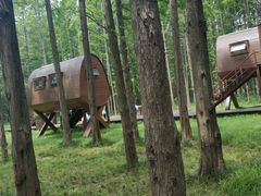 -黄海国家森林公园