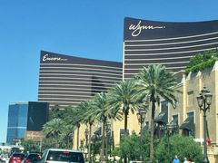 -拉斯维加斯永利酒店