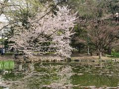 -北海道厅旧本厅舍(旧本庁舎)