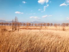 -野鸭湖国家湿地公园