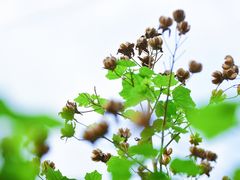 -晓港公园