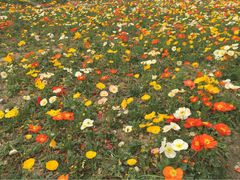 iphone_upload_pic-秀丽东方