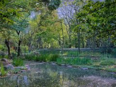 -上海共青森林公园