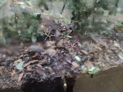 -上海昆虫博物馆