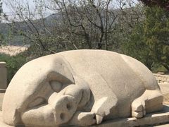 -北京十三陵国家森林公园蟒山景区