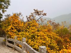 -天津盘山风景名胜区