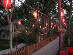 -草根堂农场