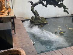 -觀芷隐轩