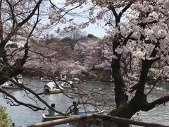 -井之头恩赐公园