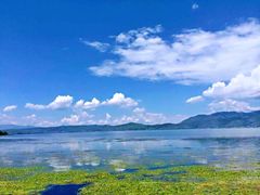 -大理洱海
