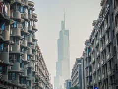 -紫峰大厦