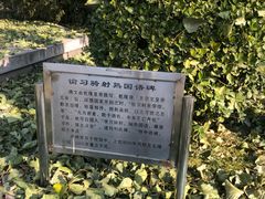-北京四中(道元校区)