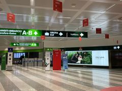 -米兰马尔彭萨国际机场