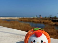 -日照海滨国家森林公园