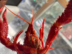 -红盔甲·小龙虾(天钥桥店)