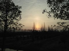 -上海长兴岛郊野公园