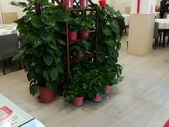 -听涛雅苑百味饺子老家菜馆