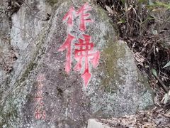 -东天目山风景区