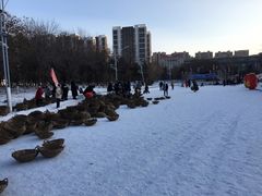 -沈阳奥体冰雪嘉年华