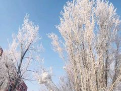 -北极村旅游风景区