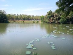 -艾溪湖湿地公园