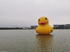 -琅岐红光湖公园
