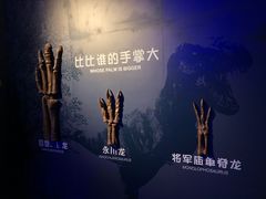 -常州奔牛国际机场