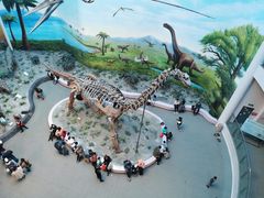-辽宁古生物博物馆