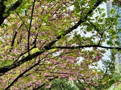 -苏州河梦清园环保主题公园