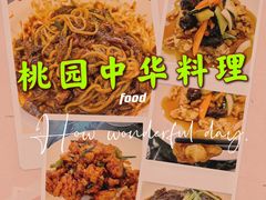 -桃园中华料理炸酱面(燕儿岛路店)
