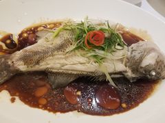 清蒸鲈鱼-半岛太子酒家(海港城店)