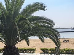 -碧海金沙