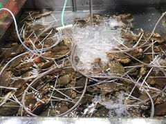 -都斛海鲜街