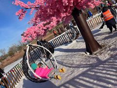 -绿野森林乐园冰雪季