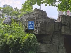 -成都市活水公园