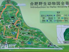 -合肥野生动物园